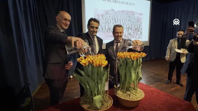 Hollanda’da yeni tür lale „Gelibolu“ tanıtıldı