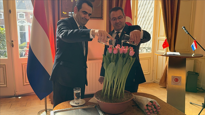 Hollanda’da yetiştirilen özel lale türüne „Kızılırmak“ ismi verildi
