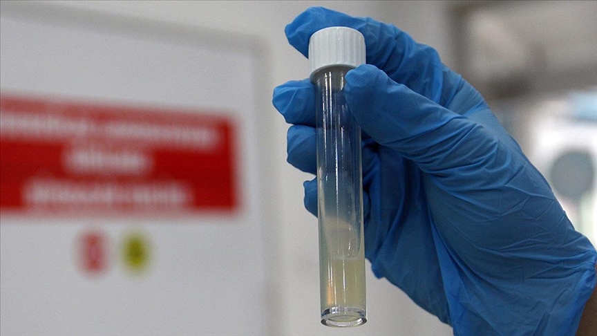 DSÖ: Tüberküloz nedeniyle her yıl bir milyon kişi hayatını kaybediyor