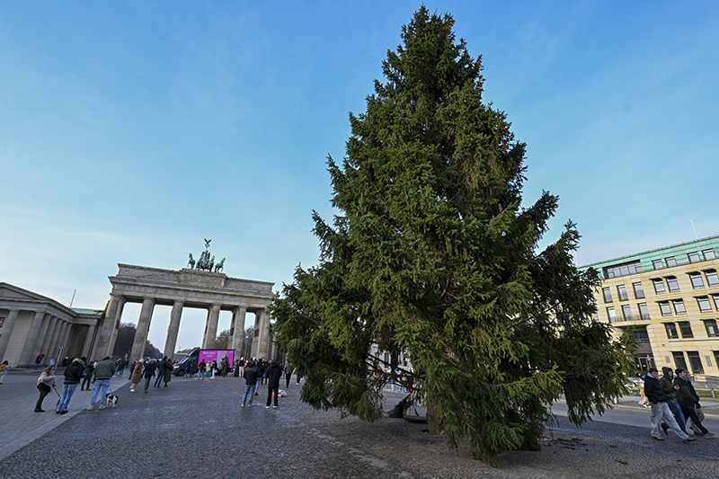 Almanya’da tarihi Brandenburg Kapısı’nın önüne Noel ağacı konuldu