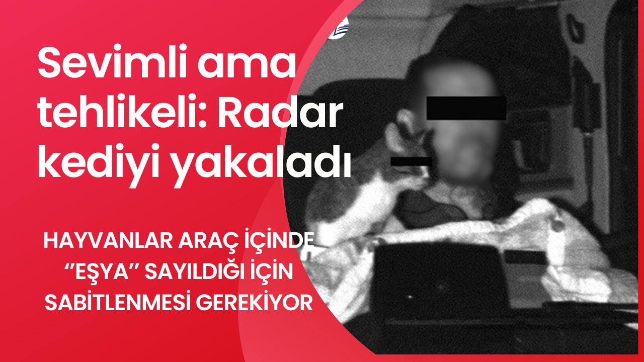 KEDİ RADAR