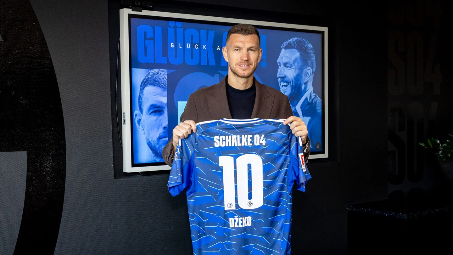 SCHALKE DZEKO