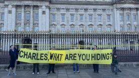 pstein buckingam sarayi