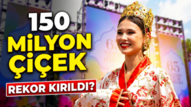 cicek festival