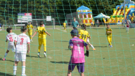 herne turnuva