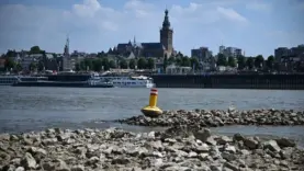 kuraklık hollanda